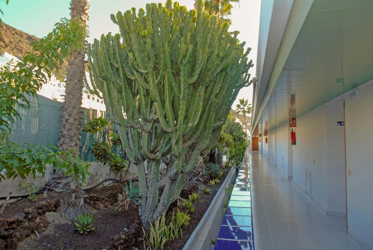 Lufesa Puerto Rico (Gran Canaria) Exterior foto
